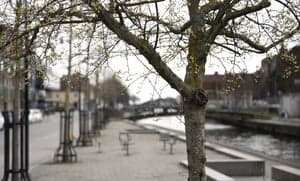 newsletter Veckan som gick i Karlshamn
