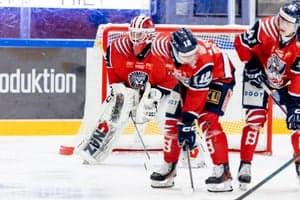 newsletter Hockeybrevet