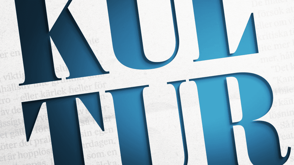 newsletter DN Kultur