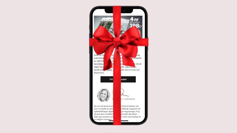 newsletter Prenumerationserbjudanden
