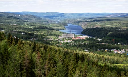 newsletter Veckan som gått i Sollefteå