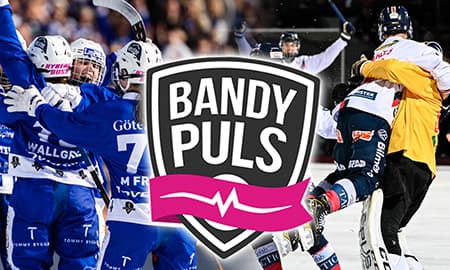 newsletter Bandypuls